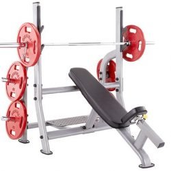 Adjustable Bench Press FMI/Watson Steel Made Commercial Use 