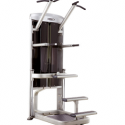 Steelflex chin and dip strength training equipment